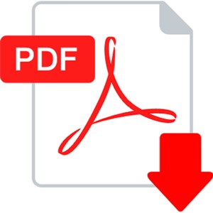 PDF File